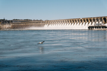 Beautiful shot of Wilson Dam with a bird in Florence, Alabama