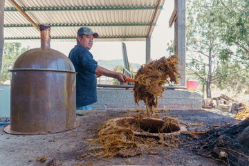 Process of elaboration of mezcal in an artisanal way