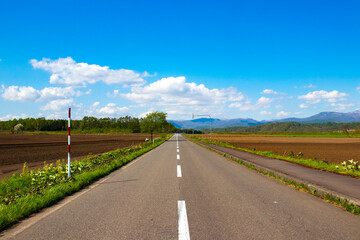 Straight road, Hokkaido, Japan, 北海道の道 