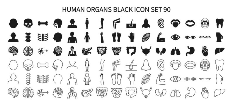 Icon set related to human organs