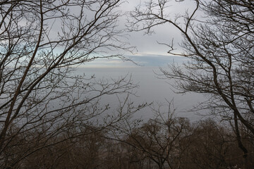 Calm Baltic Sea under a sky with clouds and haze shortly before an spring early sunset. In the foreground are the silhouettes of leafless branches.
