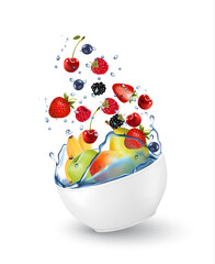 Colorful fresh fruit  falling into the water splash. Vector illustration