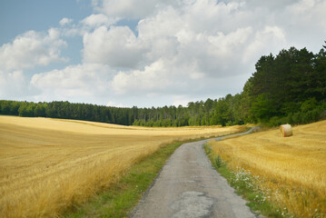 Route à travers champs