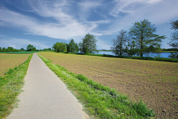 Beautiful dutch rural landscape, maas riverside cycling path, agriculture fields, trees, blue spring sky - Limburg, Netherlands