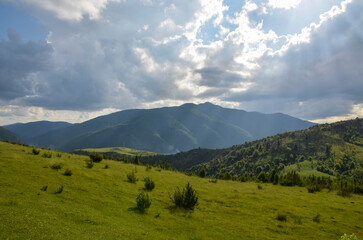 Picturesque sunny landscape of green mountain hills, forest, grassy meadow and beautiful cloudy sky at bright summer day. Admirable sunshine landscape of Carpathian mountains, Ukraine