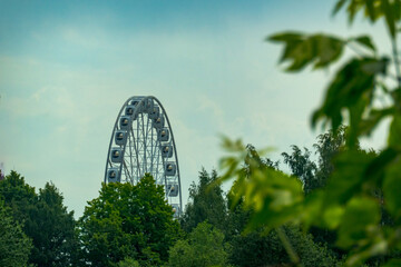 landscape of an amusement park with the top of a Ferris wheel showing above the tree tops against a blue sky.