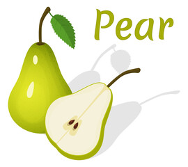 Pear.A whole fruit and juicy pieces of sliced pear.Vector illustration isolated on a white background.