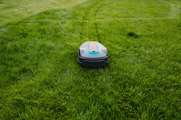 Automatic Lawn mower at garden. Copyspace. Banner photo