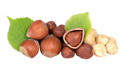 Hazelnut nut isolated on white background. Walnut kernels close up.
