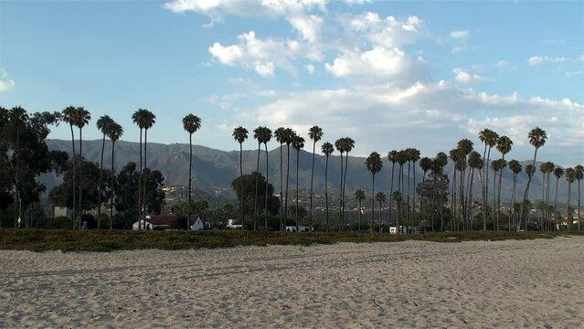 East Beach and palm trees along the Cabrillo Blvd. Santa Barbara, California, USA.