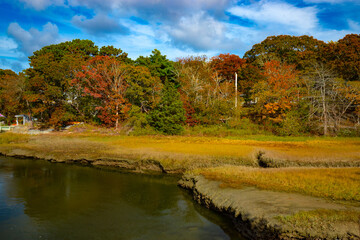 autumn marsh landscape