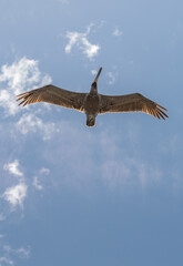 Ocean Beach San Diego, California