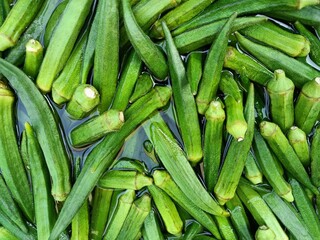 Okra or ladies fingers or bhindi or lady finger in basket
