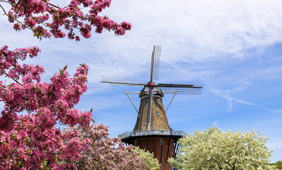 Historic Windmill in Windmill island gardens in Holland, Michigan - obrazy, fototapety, plakaty