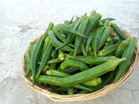 Okra or ladies fingers or bhindi or lady finger in basket