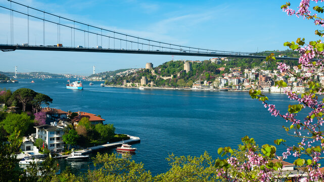 Bosphorus. Bosphorus shores of Istanbul in summer. Near Fatih Sultan Mehmet Bridge. Beykoz - Turkey 