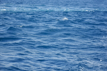 Abstract background. Waves of blue sea water. Copy space. Selective focus..