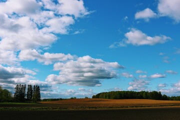 landscape with sky