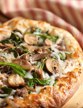 Mushroom Pizza