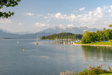 Forggensee