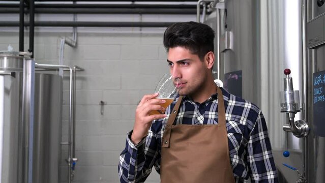 Handsome brewer in apron testing beer at brewery. High quality 4k footage