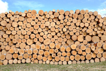 Firewood made of natural wood against a background of blue sky and grass is stacked and harvested for the winter with a stack of round logs.Wooden cube background is used for multi-purpose shape.