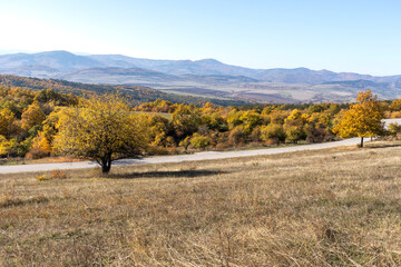 Autumn landscape of Cherna Gora mountain, Bulgaria