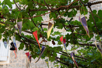 flags of different countries