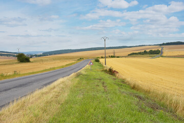 Fototapeta na wymiar Champ de blé récolté - route départementale