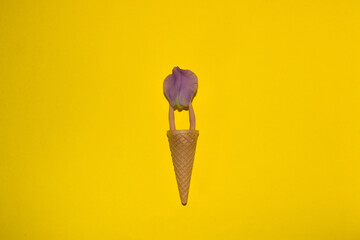 ice cream cornet with two hands holding a purple petal, creative summer design on a yellow...