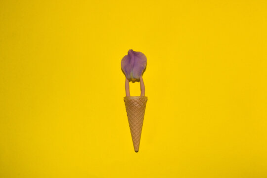 ice cream cornet with two hands holding a purple petal, creative summer design on a yellow background