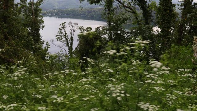 the edersee lake in germany seen from nature 30fps 4k