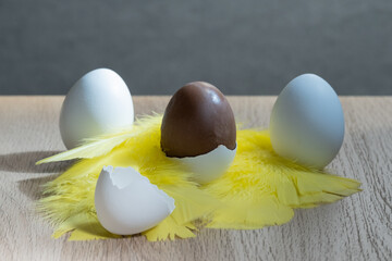Closeup of chocolate filled authentic eggshells eaten around easter