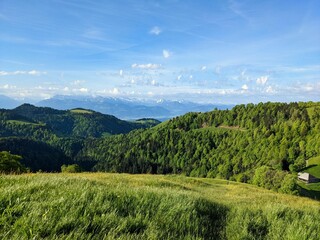 Local recreation area in Zurich Oberland.Beautiful hilly landscape with a lot of wildness with forest and flower meadows