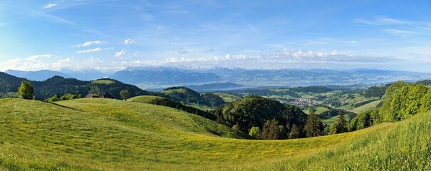 Alp Scheidegg. View in the alps. grass hill in the zurich oberland. Huttchopf above Fischenthal. Lush green meadow on which the cows graze. summit cross.