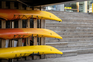 Water bananas on a coast