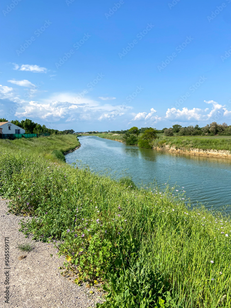 Wall mural Fleuve Le Lez proche de Montpellier au printemps, Occitanie