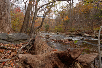 Stream in Catoctin National Park