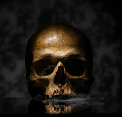 Human skull and smoke on dark background