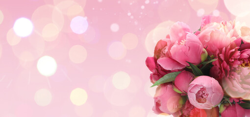 Bouquet of beautiful peonies on pink background, space for text. Banner design