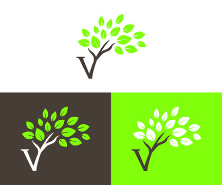 v and v tree logo design