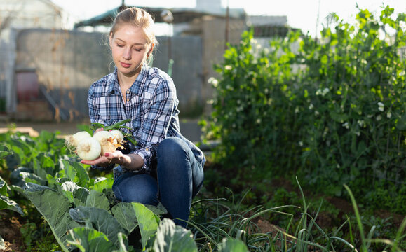 Portrait of positive woman engaged in cultivation of organic vegetables, checking onion
