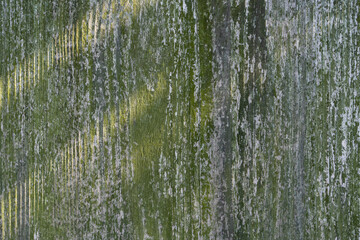 Green Wood Texture