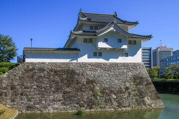 Fototapeta premium 駿府城