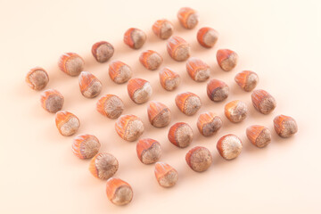 Neatly arranged dried hazelnuts