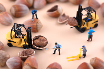The miniature scene opens the hazelnut dried fruit scene