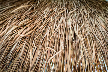 Close Up View of Thatched Roof