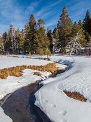 Creek in winter near Hope Valley Sierra Nevada Mountains California