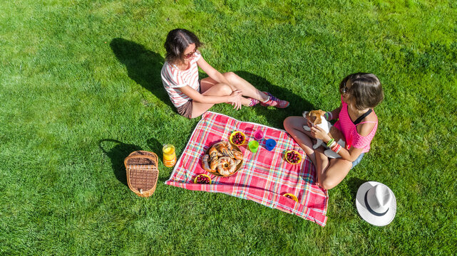 Friends having picnic in park, young girls with dog relaxing on grass and eating healthy food outdoors, aerial view from above