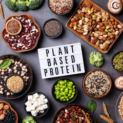 Variety of vegan, plant based protein food, legumes, lentils, beans
